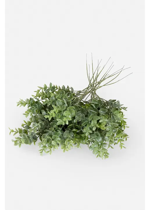 Kunstpflanze Eukalyptus-Zweige (15er Pack) in grün von vorne - bonprix Kunstpflanze Eukalyptus-Zweige (15er Pack) in grün von vorne - bonprix