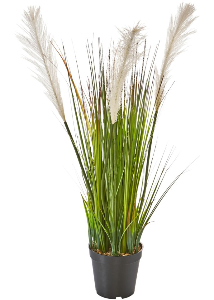 Kunstpflanze mit Gräsern in grün - bpc living bonprix collection