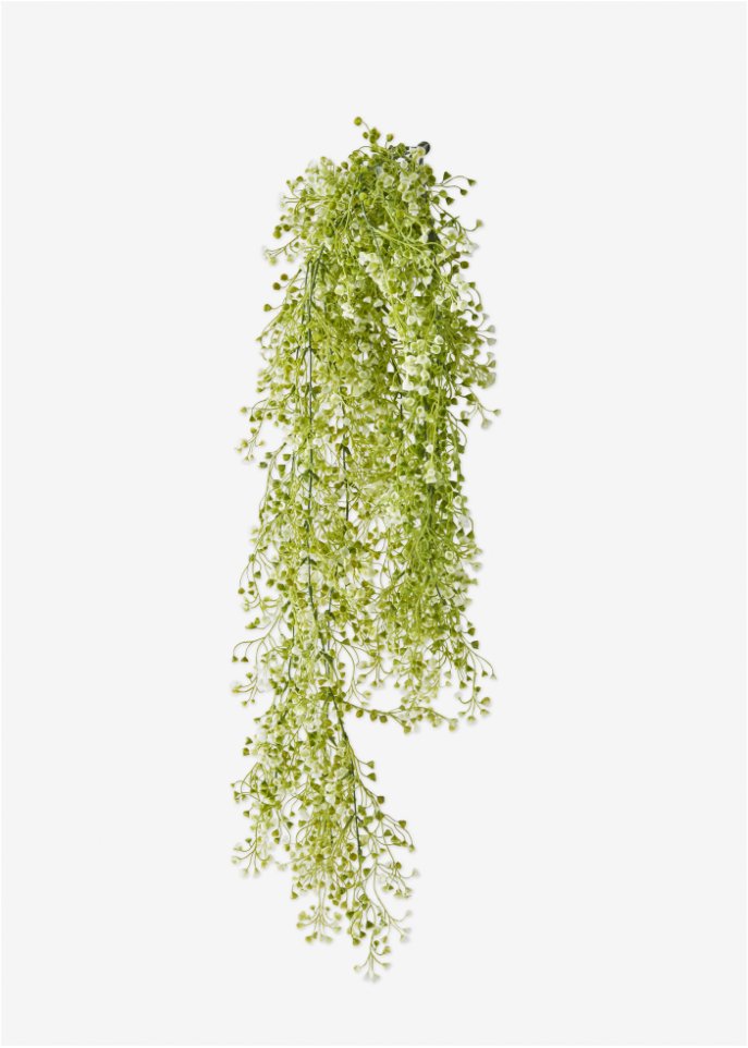 Kunstblumen-Ranke mit kleinen Blüten in grün - bpc living bonprix collection