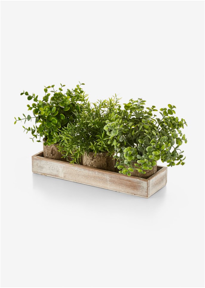 Kunstpflanze auf Tablett in grün - bpc living bonprix collection