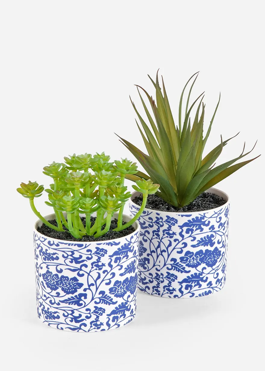 Kunstpflanze Sukkulenten im Topf (2er Pack) in grün von vorne - bonprix Kunstpflanze Sukkulenten im Topf (2er Pack) in grün von vorne - bonprix