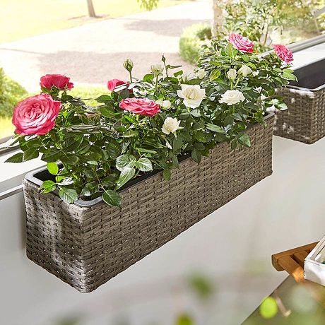 Gartenausstattung im Online Shop bonprix