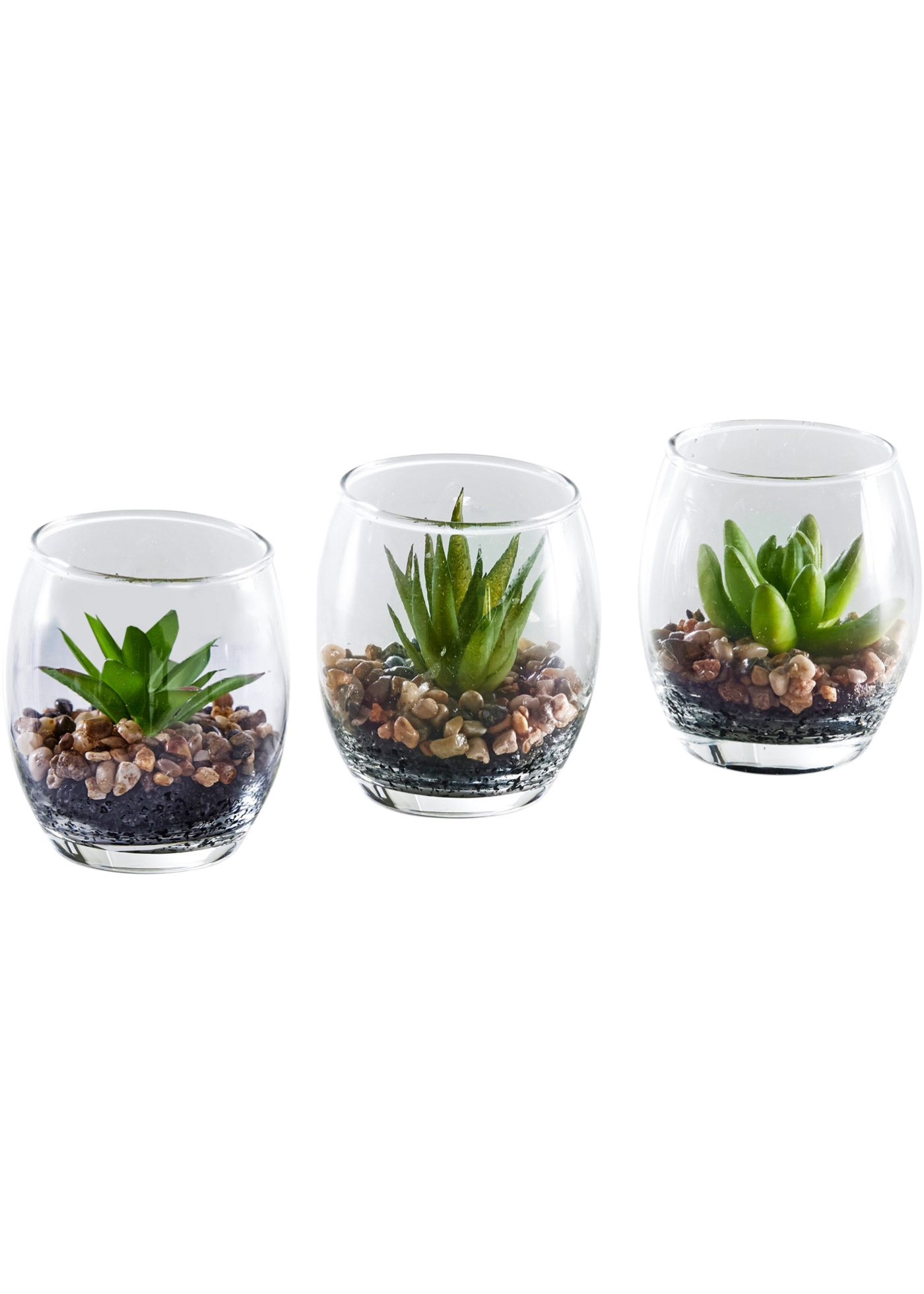 Kunstpflanze Sukkulenten im Glas (3-tlg.Set)