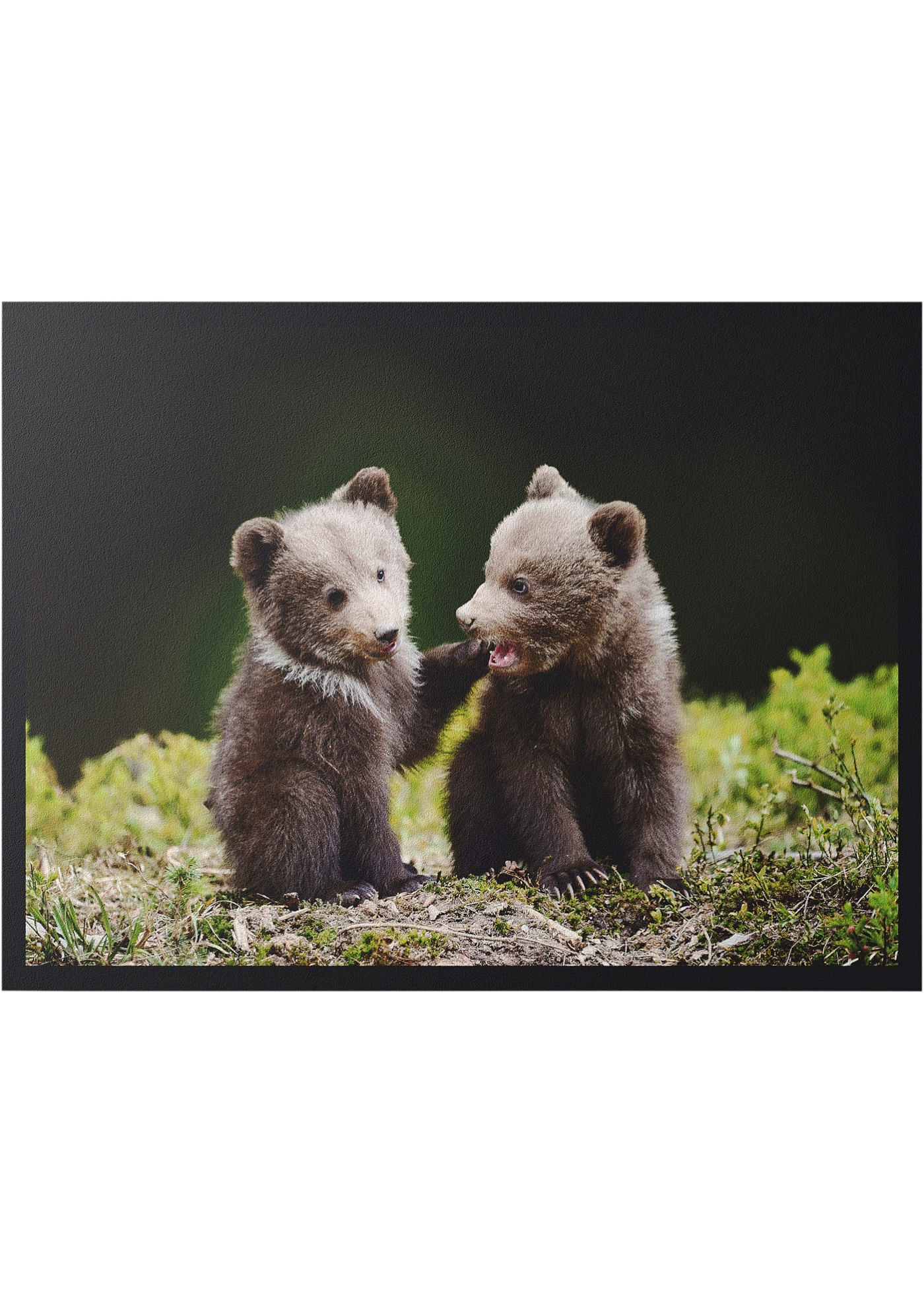 Fußmatte mit Bären