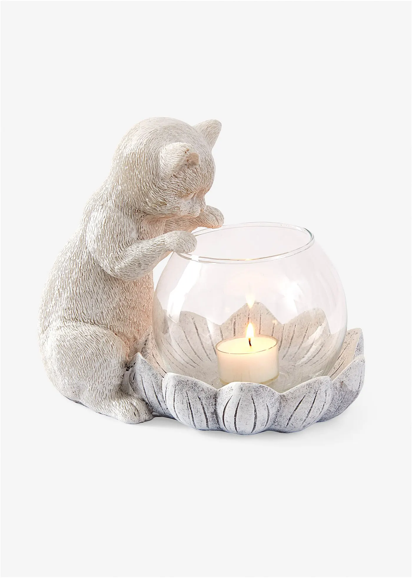 Бонприкс Тилихтальтер Катце