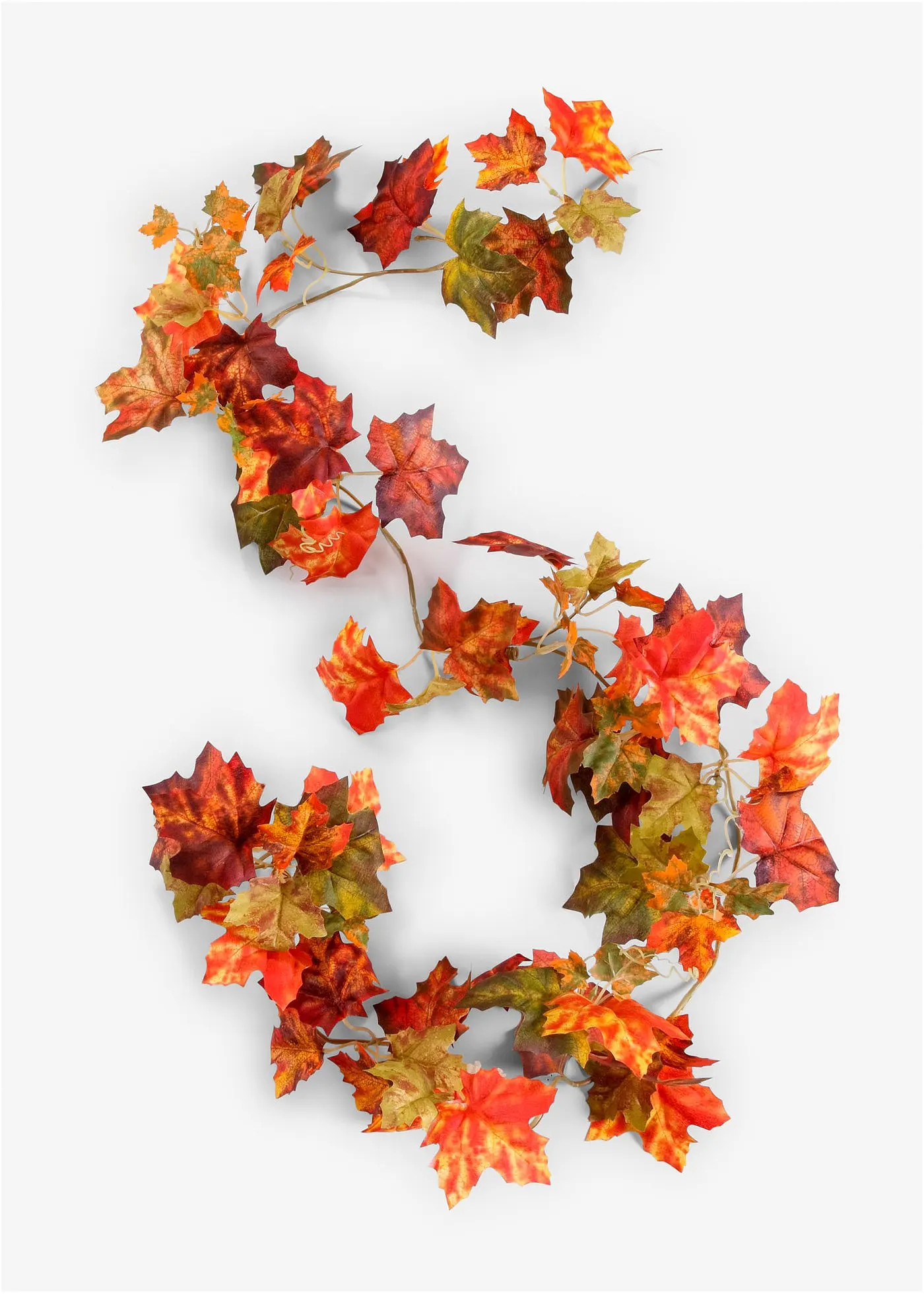 Прекрасная художница-Фландрфланценгирландия в Гербстлаубе