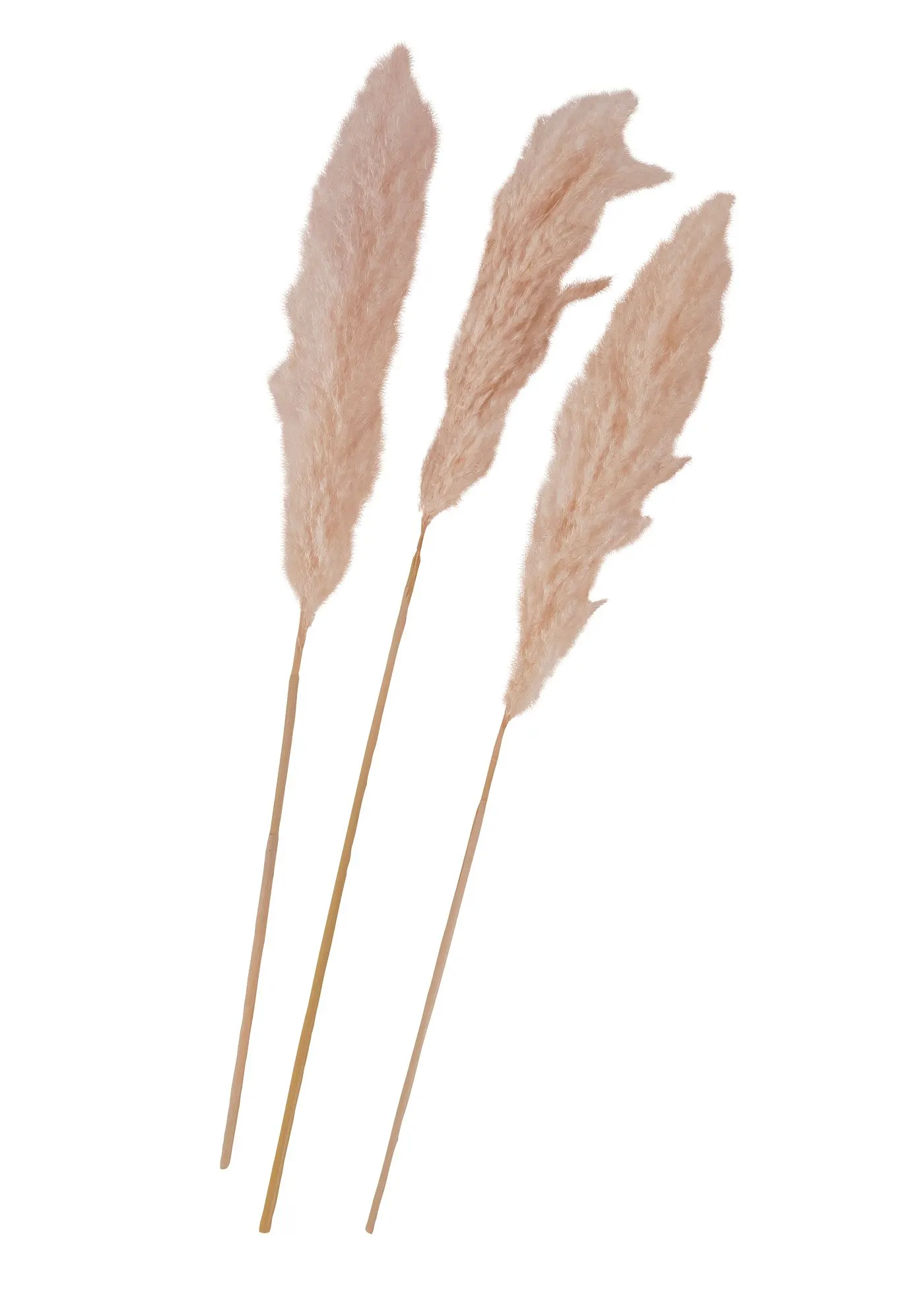 Пампасграс от Bonprix Kunstpflanze (3 упаковки)