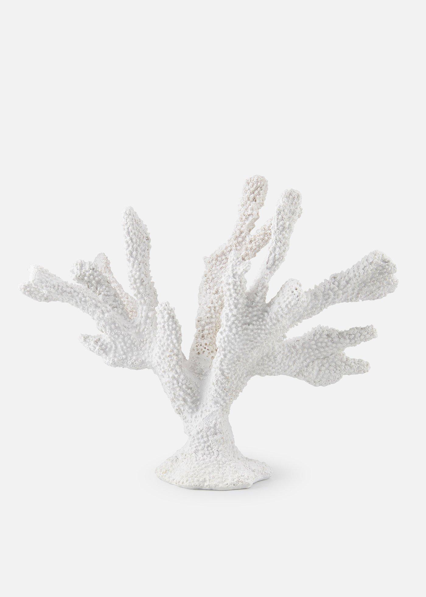 Objet déco corail