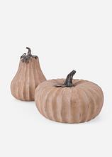 Deko-Objekte Kürbisse (2-tlg. Set) in beige von vorne - bonprix