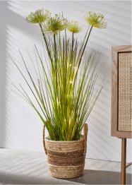 LED-Kunstpflanze mit Gräsern, bpc living bonprix collection