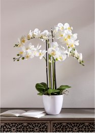 Kunstblume Orchidee mit real Touch Finish, bpc living bonprix collection