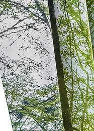 Abdunkelnder Vorhang mit Wald Motiv (1er Pack), bonprix