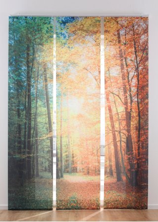 Blendschutz Schiebegardine mit Wald Motiv (3er Pack) in grün - bpc living bonprix collection