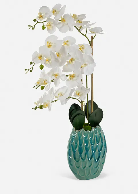 Kunstpflanze Orchidee in weiß von vorne - bonprix