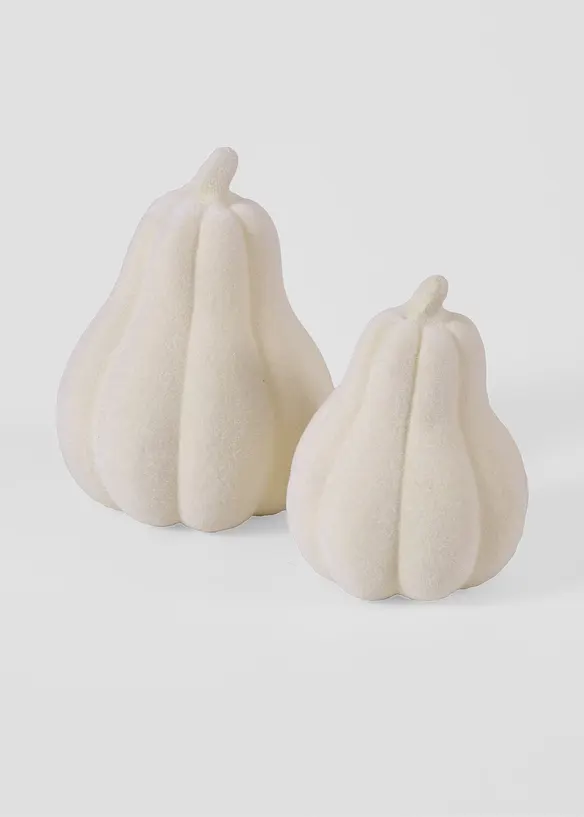 Deko-Objekte Kürbisse (2-tlg. Set) in beige von vorne - bonprix