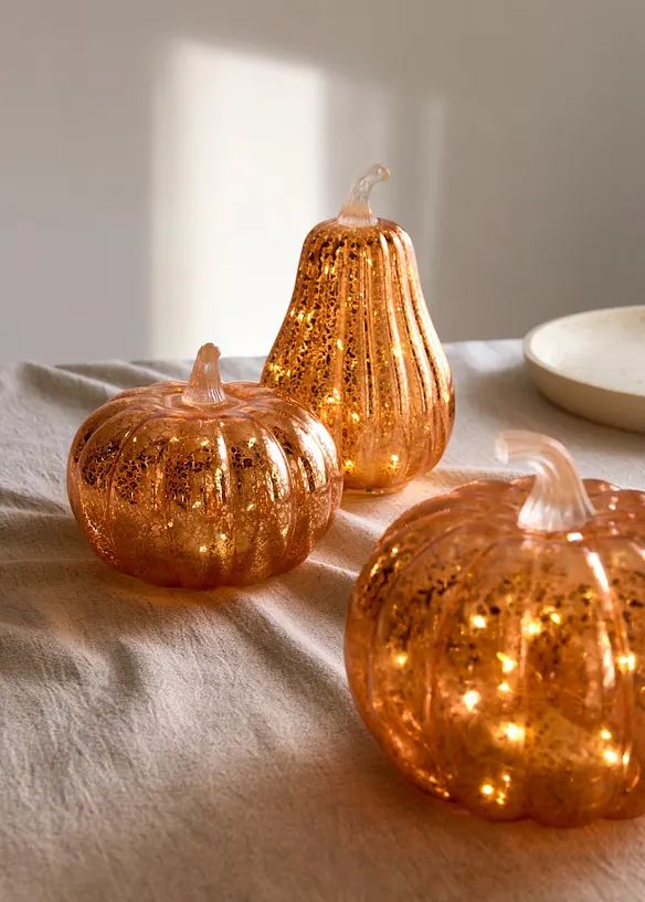 LED-Deko-Objekt Kürbisse (3-tlg.Set) in orange (Ambiente) - bonprix