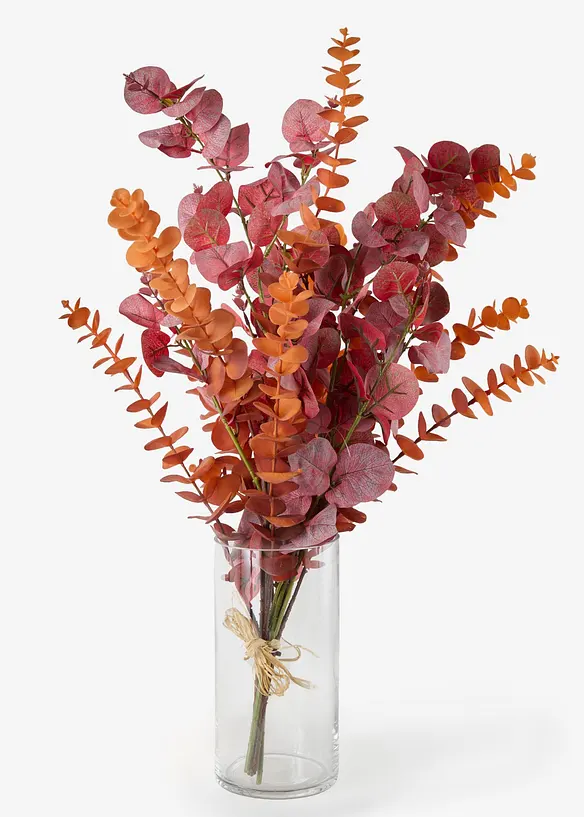 Vase mit Eukalyptus-Zweigen in rot von vorne - bonprix
