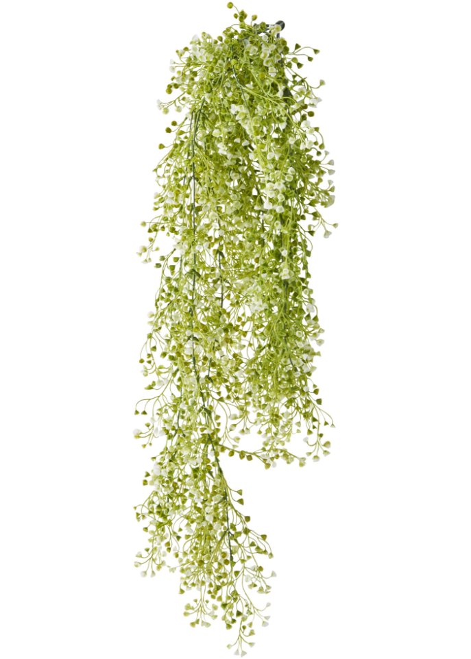 Kunstblumen-Ranke mit kleinen Blüten in grün - bpc living bonprix collection