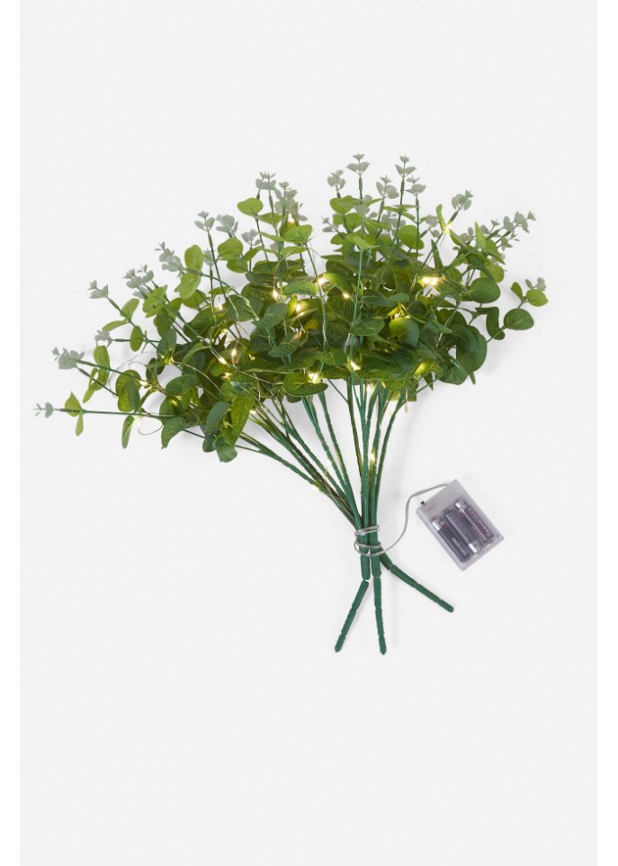 LED-Kunstpflanze Eukalyptus Zweige (3er Pack) in grün - bpc living bonprix collection