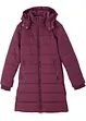 aubergine