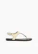 kitt